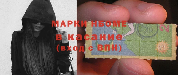 шишки Заводоуковск
