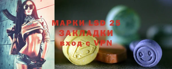 шишки Заводоуковск