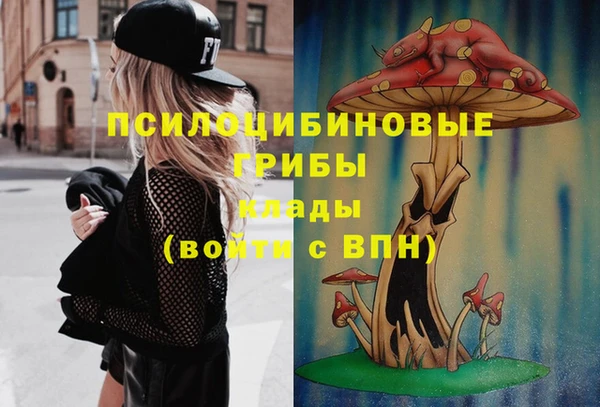 шишки Заводоуковск