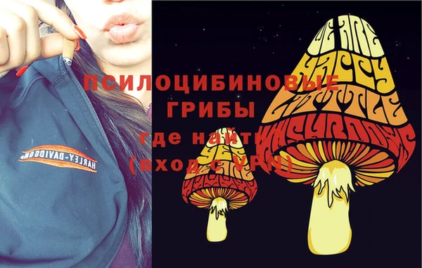 шишки Заводоуковск
