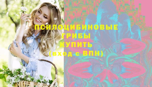 шишки Заводоуковск