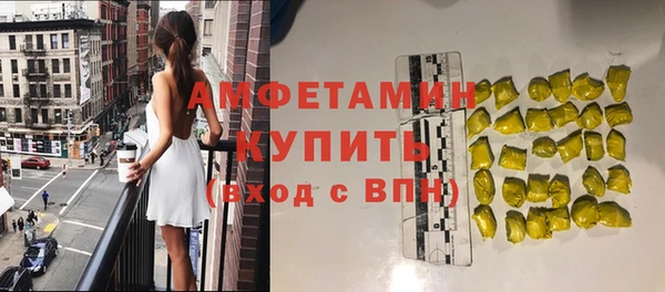 шишки Заводоуковск