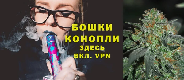 шишки Заводоуковск