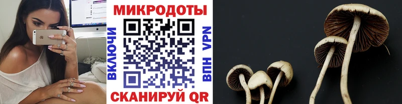 Купить закладки  Белая Холуница  Галлюциногенные грибы Psilocybe 